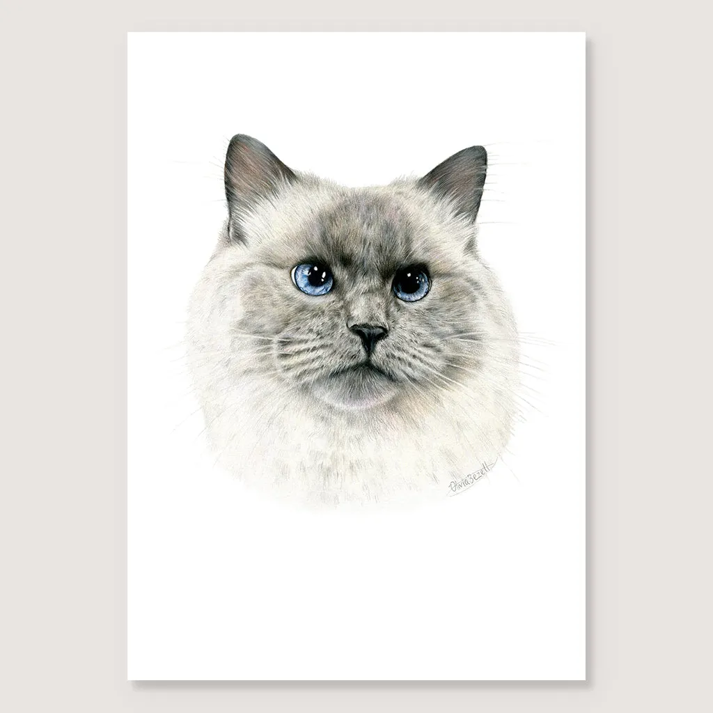 Craig Print