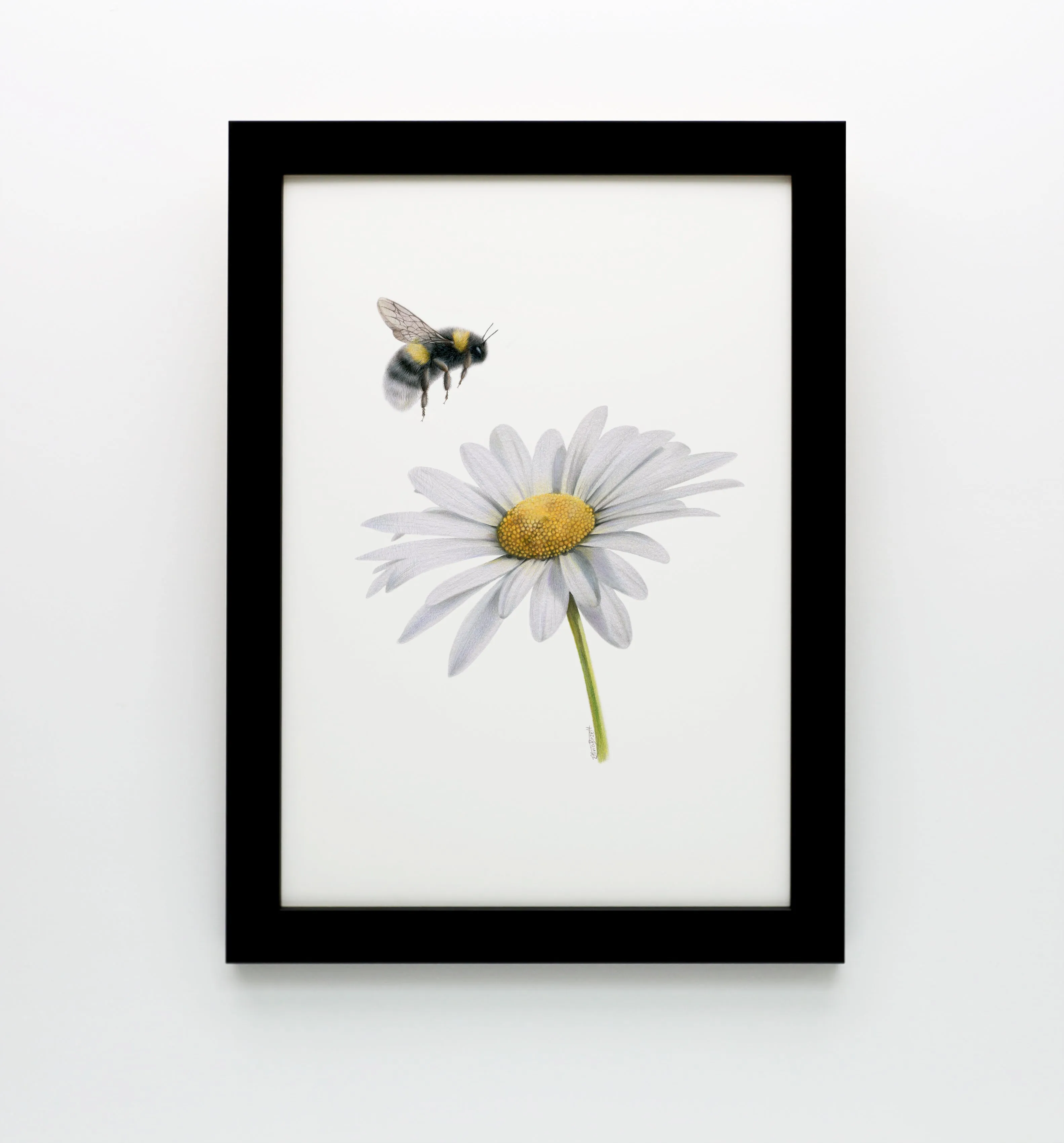 Daisy and Bee print