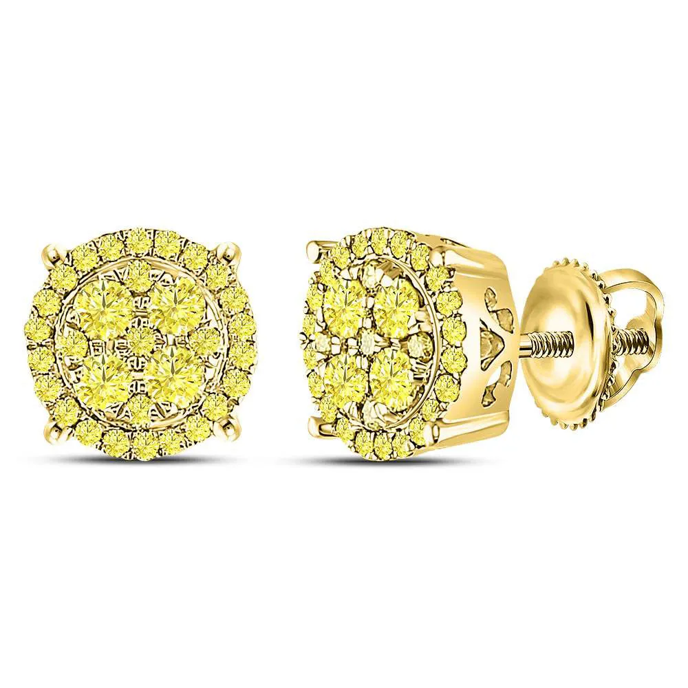 Keene Jewelers 10kt Yellow Gold Womens Round Canary Diamond Concentric Cluster Stud Earrings 3/4 Cttw