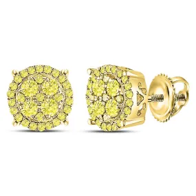 Keene Jewelers 10kt Yellow Gold Womens Round Canary Diamond Concentric Cluster Stud Earrings 3/4 Cttw