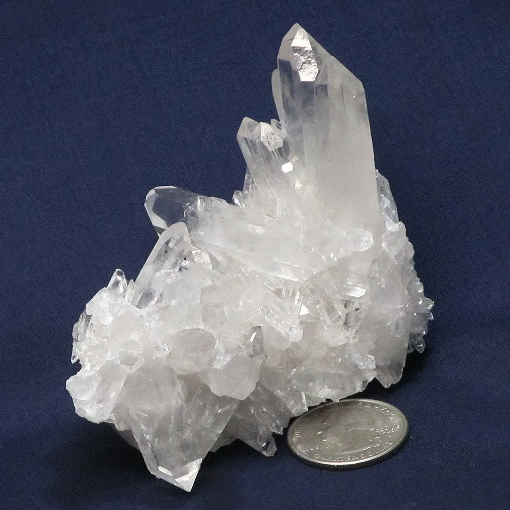 n8232 - Burr