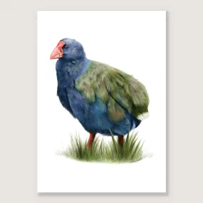 SALE - Takahe print A5