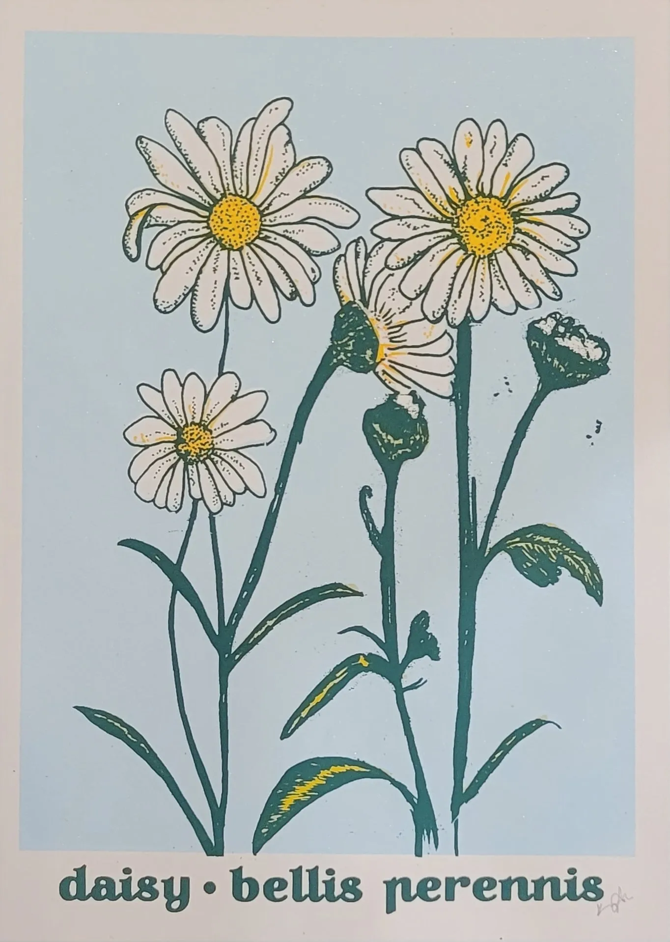 Screen Prints by Kiernan Dunn