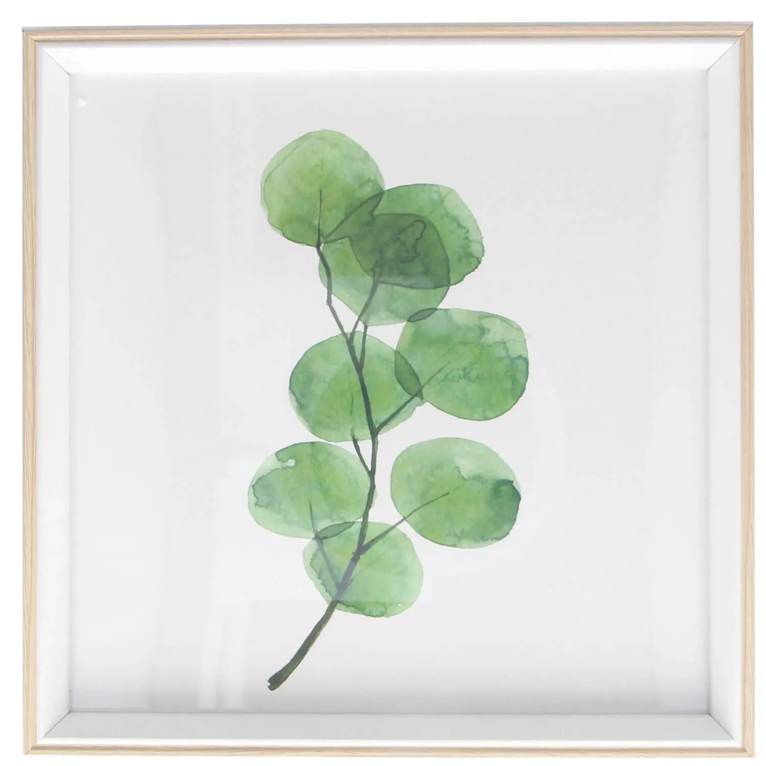 Watercolour Branch Natural Framed Print Square